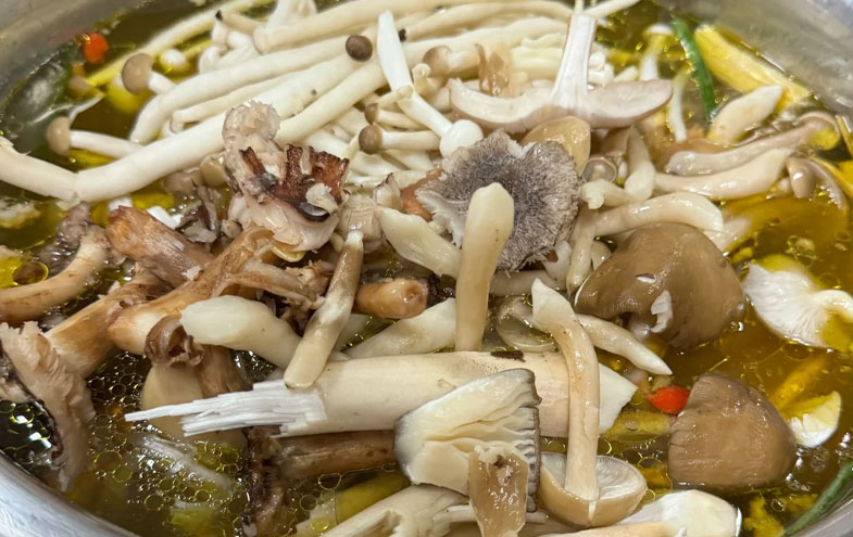 肉饼鸡各种菌类