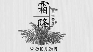 霜降来了,你该进补啦!