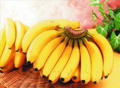 香蕉和脱水香蕉的营养价值有差别吗？
