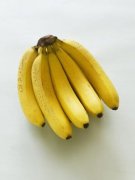 香蕉与便秘