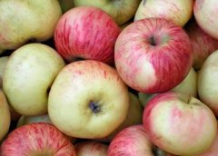 苹果醋能治什么？