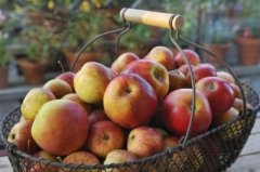 苹果含有什么维生素？