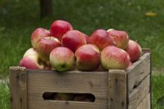 苹果中有多少碳水化合物？