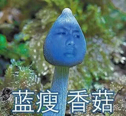 蓝瘦，香菇