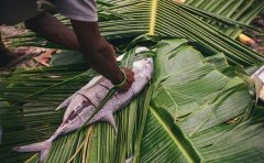 斐济美食游:卡瓦酒+地炉大餐