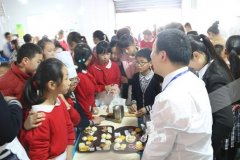 九龙坡小学生赛厨艺感受快乐生活