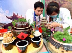 海峡客家烹饪大赛在连城县揭幕 208名厨师同台竞技