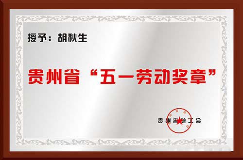 贵州省“五一劳动奖章”
