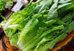 油麦菜的营养价值和功效_清炒油麦菜的做法