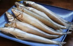 沙丁鱼的营养价值和功效_豉椒沙丁鱼的做法