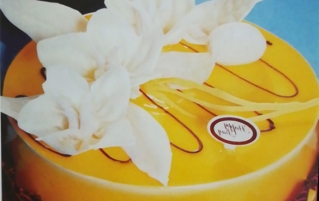 欧式可可蛋糕的做法