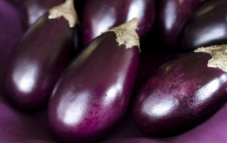 茄子会过敏吗?有哪些过敏症状?