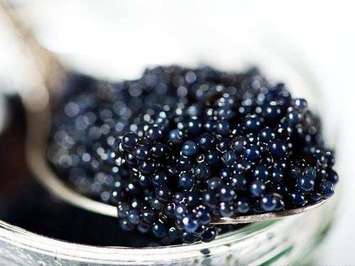 鱼子酱