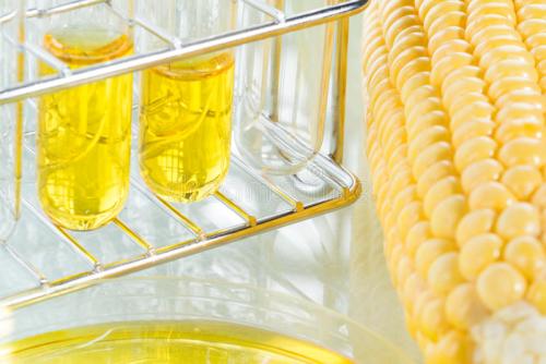 高果糖玉米糖浆 高果糖玉米糖浆