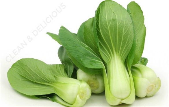 小白菜bokchoy的营养价值和健康功效