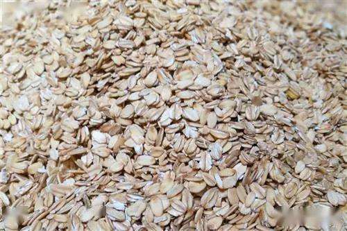 钢切燕麦 钢切燕麦