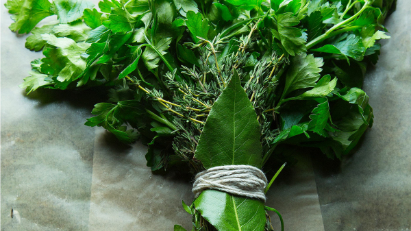 法国香草束 法国香草束