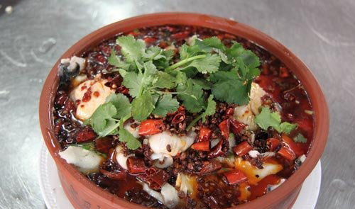 朱家跃大师的示范菜——豆花鱼片