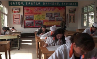 春天，一个播种与收获的季节