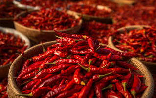 辣中求变的贵州风味——新东方烹饪学小吃创业的启示