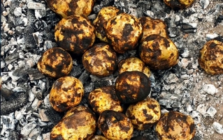 贵州威宁洋芋，解锁百变吃法-味蕾上的记忆