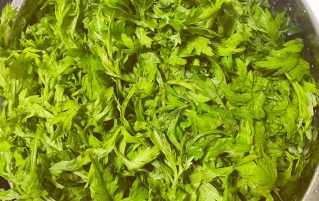 神奇的东方树叶——艾叶|新东方小吃培训学校参的做法与吃法探索