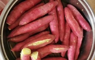 红苕——古今南北皆爱的全能食材