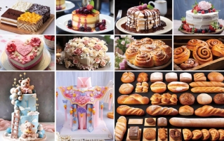 贵州新东方2026专业全览-多元选择，助力学子破浪逐梦前行