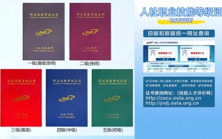 聚焦厨师职业资格认证-解锁技能成才路径