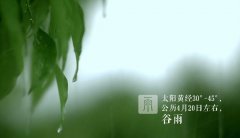 舌尖上的二十四节气之谷雨