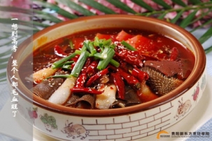 天不怕地不怕，就怕吃货有文化!