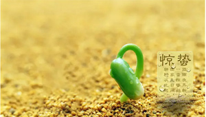 舌尖上的24节气——惊蛰