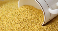 有益于儿童健康发育的饮食