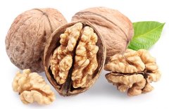 饮食养生：有益健康的7种“脂肪食物”