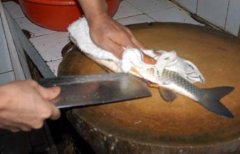 烹饪中常用特殊刀法