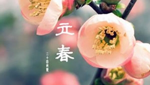 【超长待‘鸡’】：今日立春，鸡年竟然有两个立春