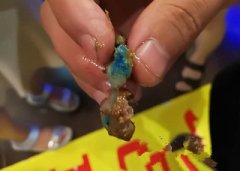 呼市烧烤店吃出的蓝色不明物体为“动物检验章颜色”