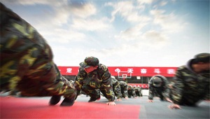 春风十里不如有你，我在等风也在等你