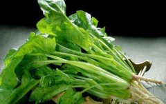 菠菜的营养价值和功效_炝炒菠菜的做法