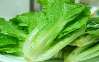 吃生菜会过敏吗？