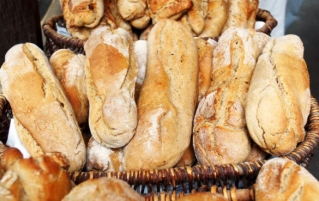 面包会让你的屁股变大吗？