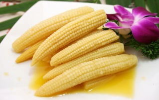 小玉米的营养价值和功效