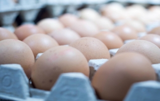 旅途中方便吃鸡蛋吗？这有8种最佳烹饪方式