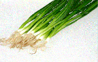 细香葱的营养价值和11个惊人健康功效