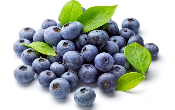 蓝莓怎么种植，有哪些种植方法？