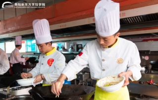 诱人菜品的感官评估流程是烹饪的关键