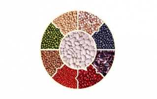 海军豆的营养价值和8大健康功效