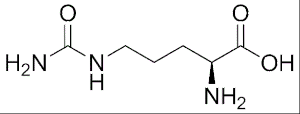 瓜氨酸的4個健康功效與作用哪些食物能提供瓜氨酸