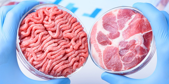 动物干细胞人造肉图片