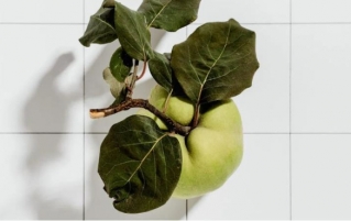 榅桲怎么吃？榅桲的8个健康功效与作用